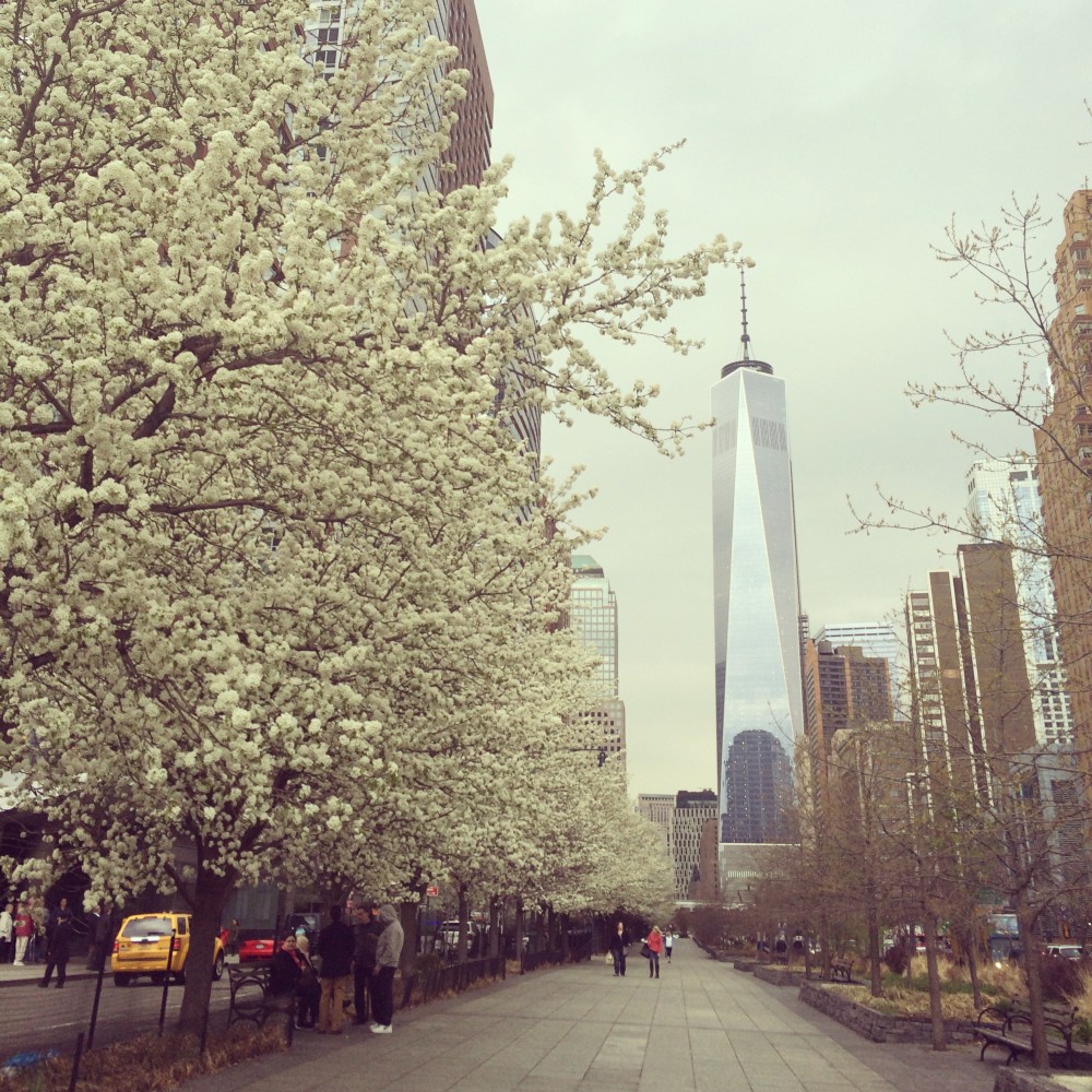 Freedom is Beautiful