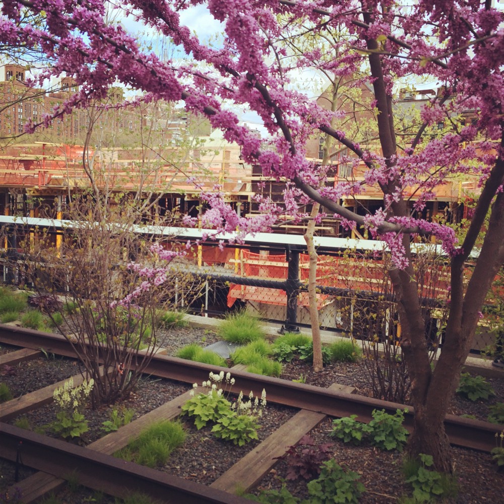 Urban Garden and Sculpture space