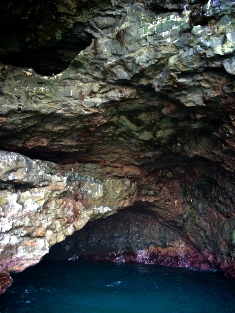 Paradise is for the birds.