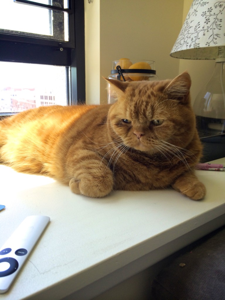 Clayton the Birthday Boy