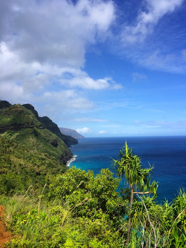 Gorgeous views from the trail.