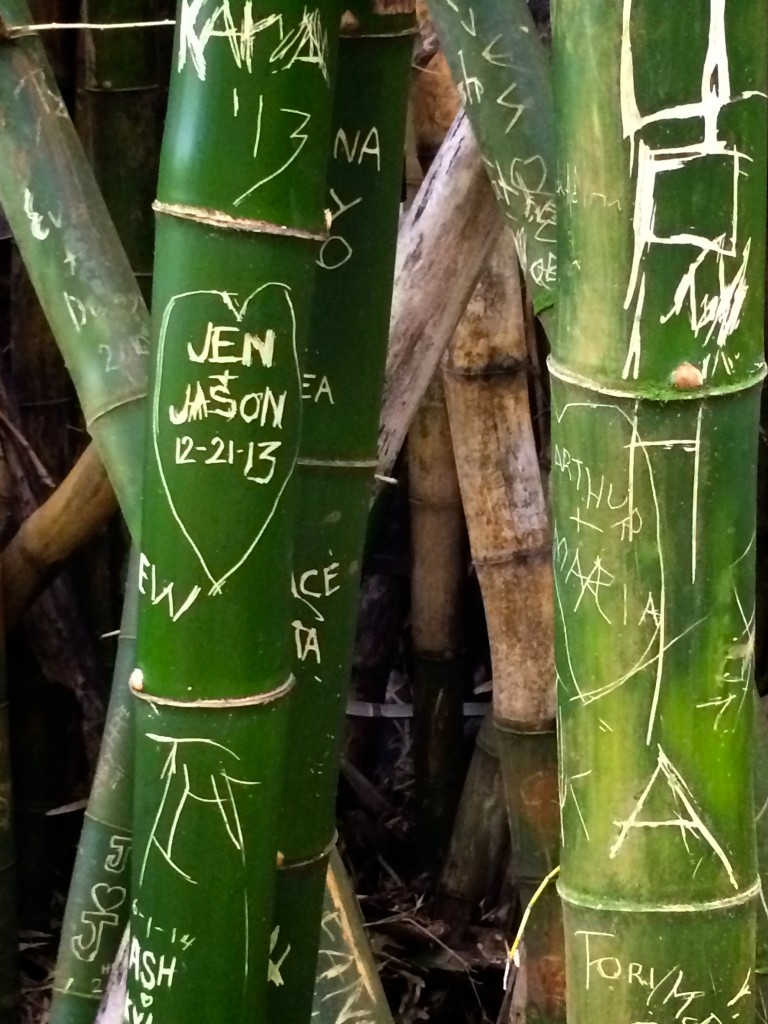 You think all these couples are still together?