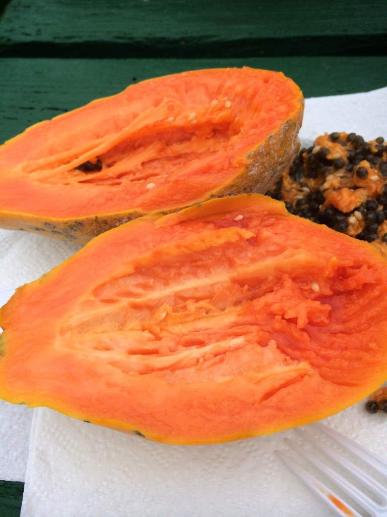 Ripe papaya is like nectar plucked from the heavens.