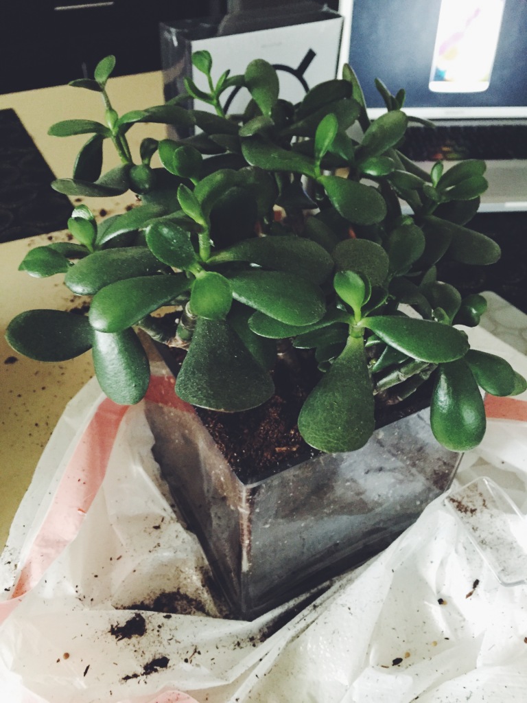 Your new home my love.