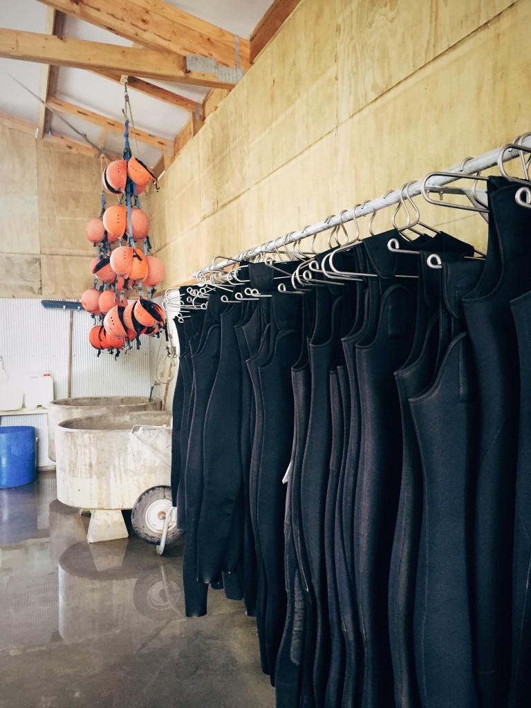 It's going to be legendary!