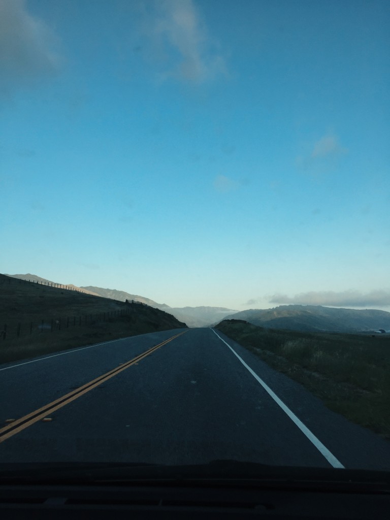 Road trips are the best