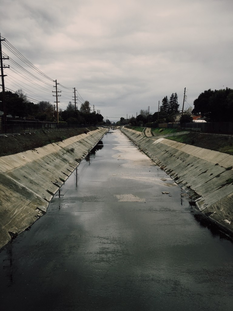 San Tomas Aquino Creek 