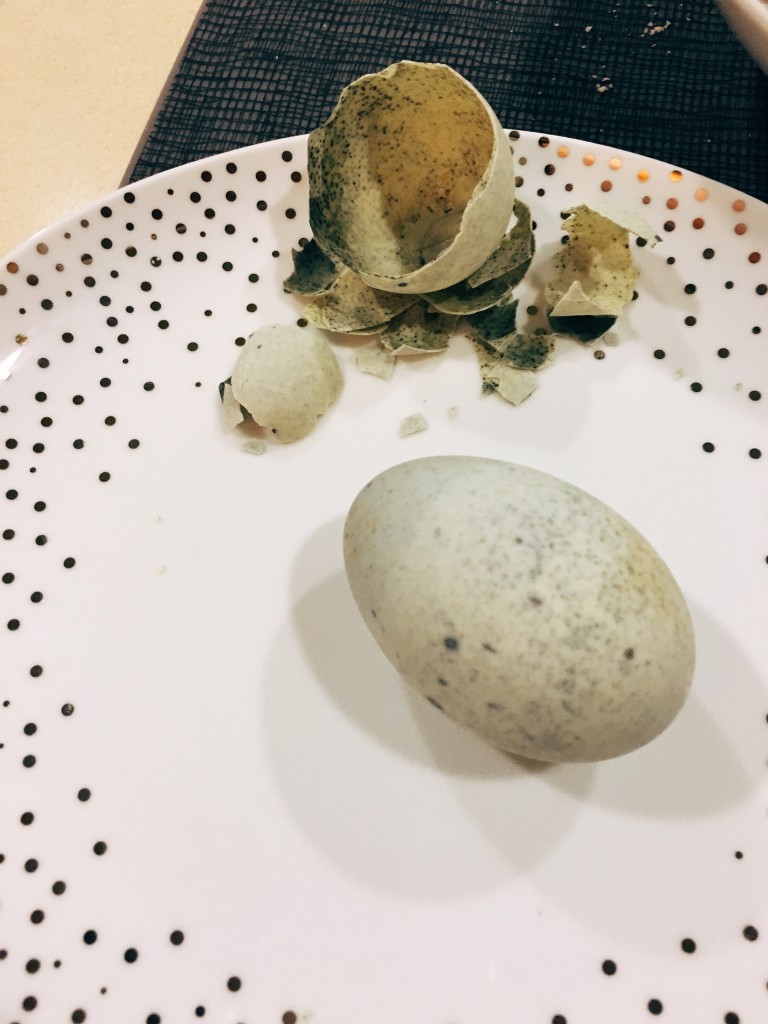 Processed with VSCO with e1 preset