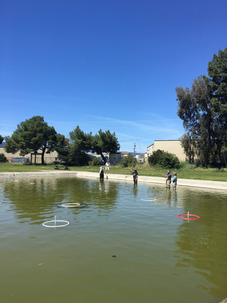 There's fly fishing here!